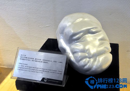 世界上最大的天然珍珠：重达6350g（世界上最大的珍珠是什么）