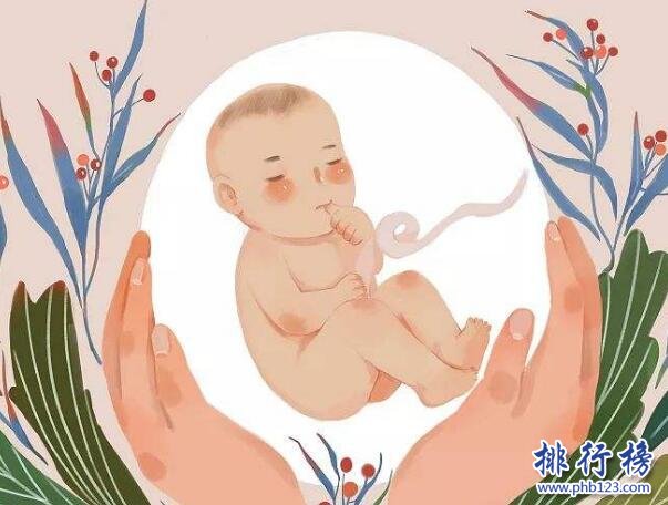 世界十大堕胎率最高地区，堕胎超过分娩数量（全球堕胎率最高国家）