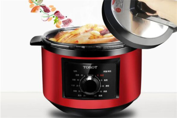 电压力锅哪个牌子好？全球十大电压力锅品牌（电压力锅哪个品牌最好）