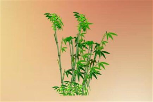 混沌十大灵根排行榜 人参果无人不知，第三据说曾灵力无敌（洪荒十大灵根排名）