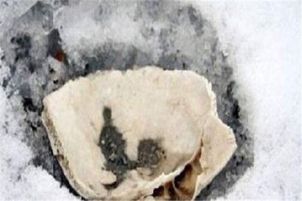 世界登山史上十大山难 第一造成四十人丧生，你都知道哪几件（人类登山史上第一大山难）