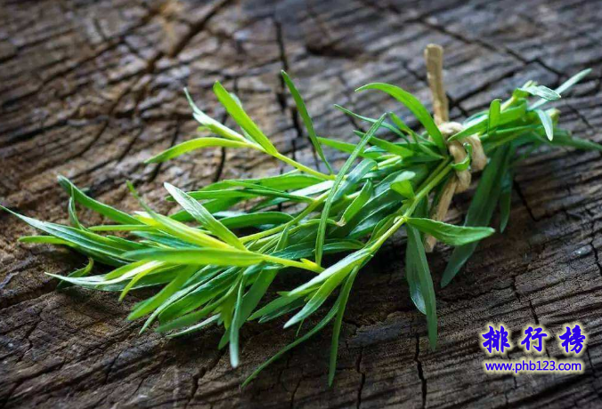 世界十大最香的植物排行榜 龙蒿叶与艾叶属同一物种（最香的植物排名）