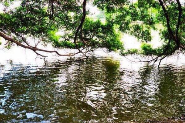 中国境内十大最邪门的地方排行榜 哑蛙湖上榜，第九非常离奇（中国最邪门的地方,排行榜）