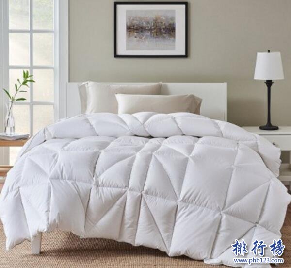 哪些羽绒被质量好？羽绒被排行榜10强推荐（什么品牌的羽绒被质量最好）