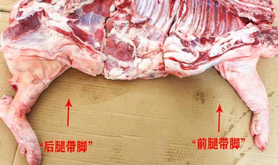 教你区分猪肉前腿肉和后腿肉图片 不同位置口感不一样别买错了（猪前腿肉跟后腿肉图片）