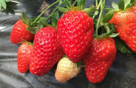 20个保存食物的小妙招 保证让你受用无穷（12种保存食物的方法）