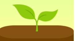 forest更改标签的简单操作（forest怎么更改标签）